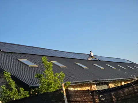 Wilga — zdjęcie 1
